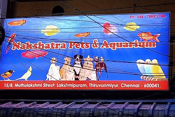 Backlit Name Board Design in Chennai